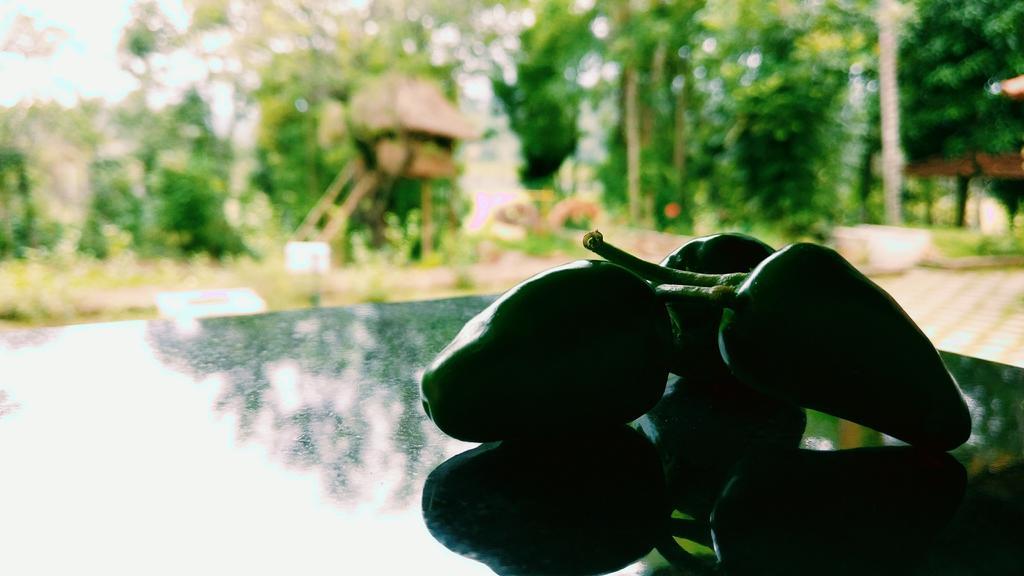 Palkadavu Warium Villa Mananthavady Buitenkant foto